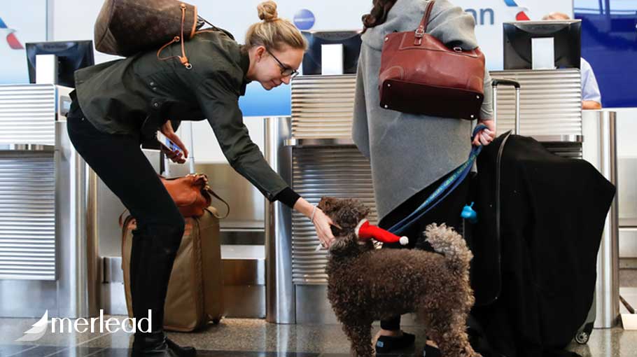 حمل سگ با هواپیما