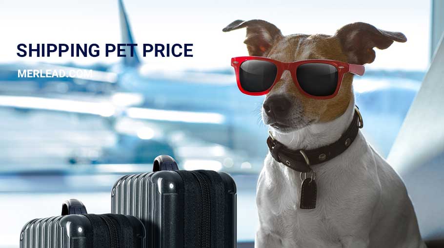 هزینه حمل حیوانات با هواپیما