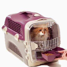 راهنمای خرید باکس حمل گربه مخصوص پرواز