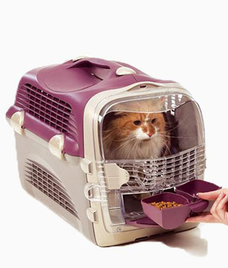 راهنمای خرید باکس حمل گربه مخصوص پرواز